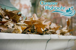 gutter-cleaners-highgate